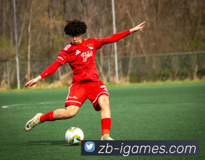 爱游戏app发展历程